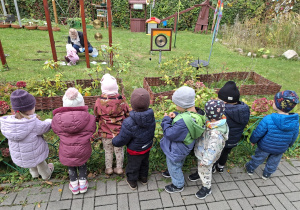 Na pierwszym planie widoczne są dzieci stojące tyłem przy płotku i obserwujące jak dziewczynka z grupy sadzi cebulki w ogrodzie przedszkolnym.