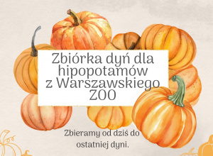 Zbiórka dyń dla hipopotamów z Warszawskiego Zoo!