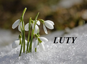 Luty